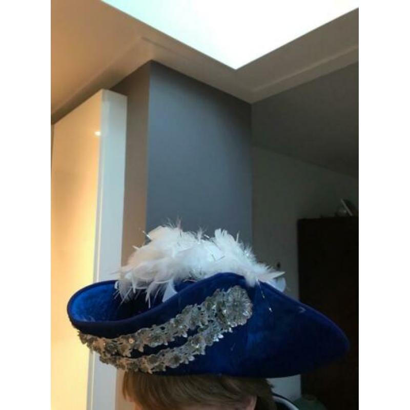 Carnaval steek hoed
