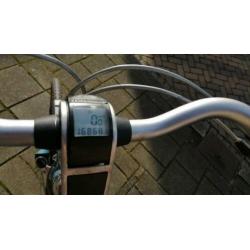 Mooie batavus