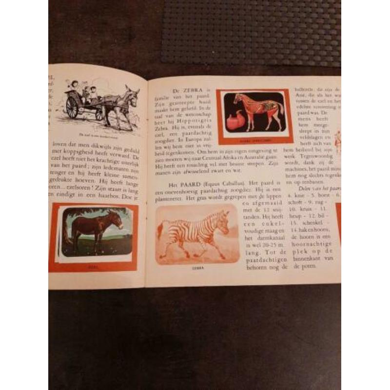 plaatjesboek Wereldbeelden : De Dieren