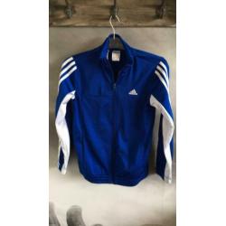 Jongens trainings Jack Adidas 152