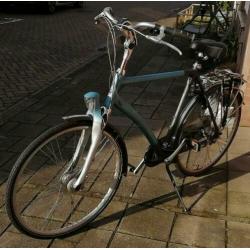 Mooie batavus