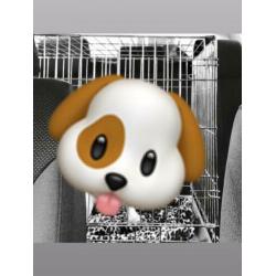 Honden-Puppy bench