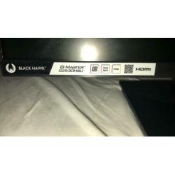 Iiyama G-Master B1