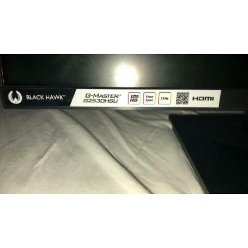 Iiyama G-Master B1