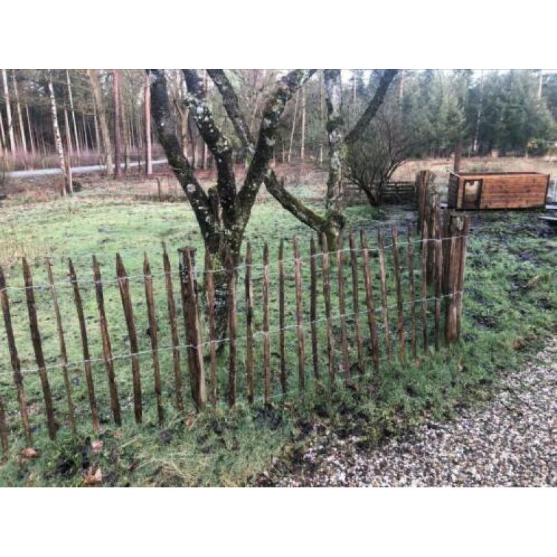 Schapenhekwerk kastanjehout