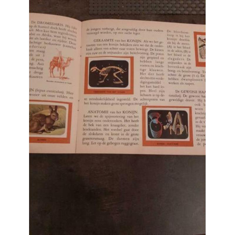 plaatjesboek Wereldbeelden : De Dieren