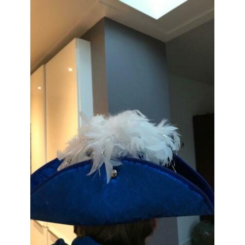 Carnaval steek hoed
