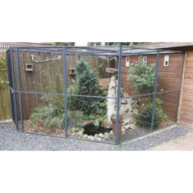Aluminium kattenrennen. Maatwerk. Onderhoudsvrij. NIEUW!