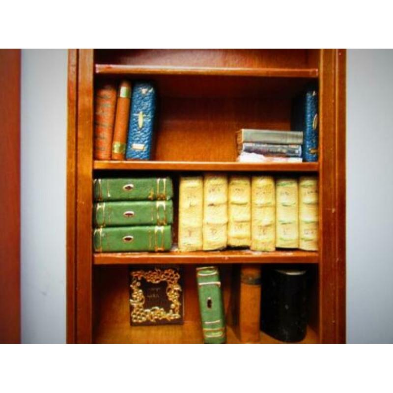Bibliotheekkast~Boekenkast + Boeken Poppenhuis~Miniatuur~Kas