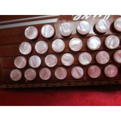 Strasser Harmonica, Wiener