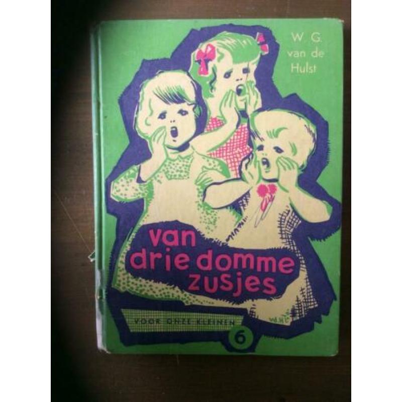 Te koop boek “van drie domme zusjes “ van WG vd Hulst