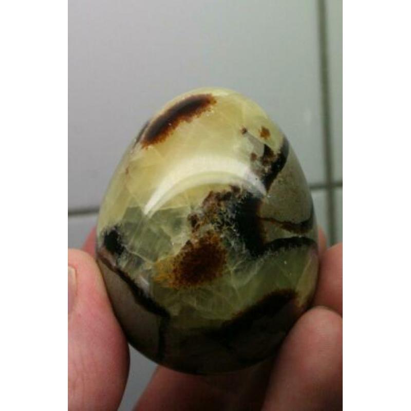 3 Prachtige Steen-eieren, AMETHYST-SEPTARIA-VERSTEEND HOUT