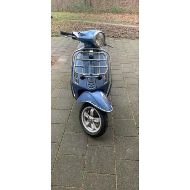 Vespa primavera