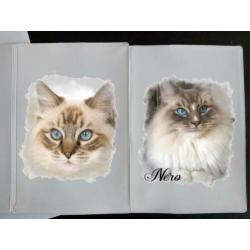 Ragdoll hoesje met eigen foto voor enting boekje