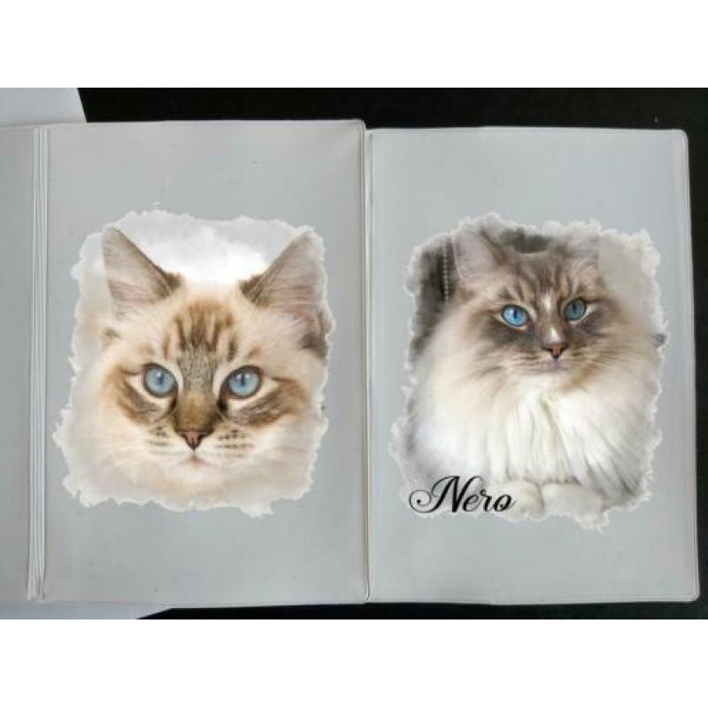Ragdoll hoesje met eigen foto voor enting boekje