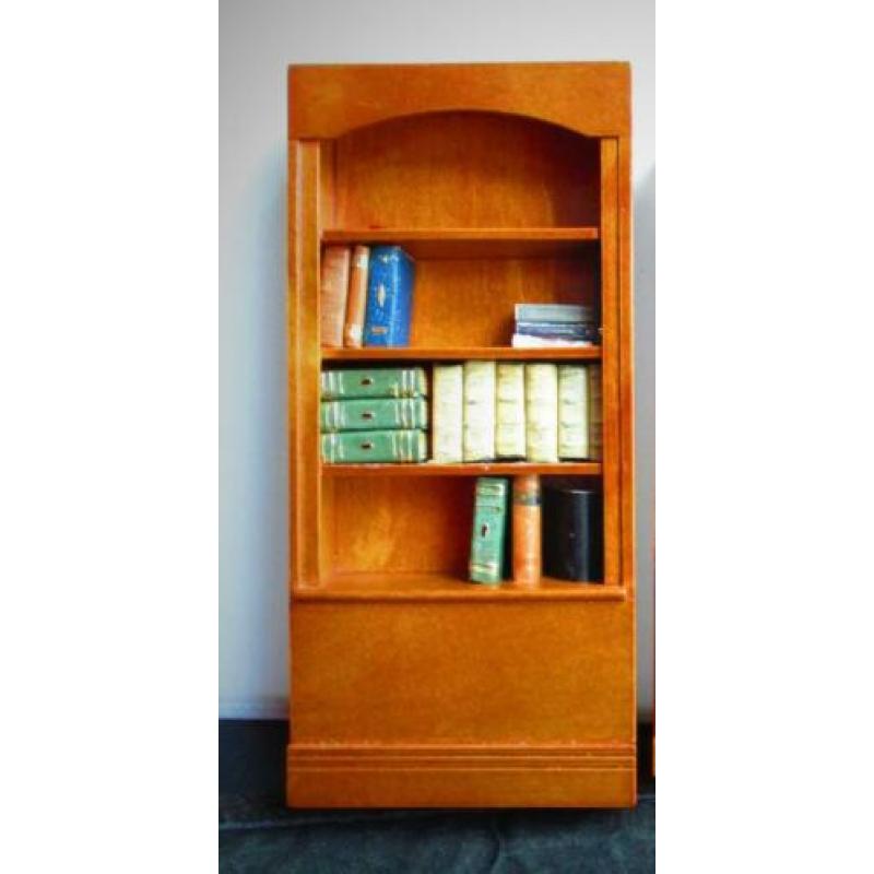 Bibliotheekkast~Boekenkast + Boeken Poppenhuis~Miniatuur~Kas