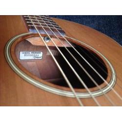 Takamine Santa Fé SF 40 (1995)
