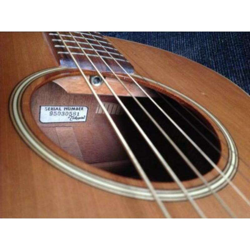 Takamine Santa Fé SF 40 (1995)