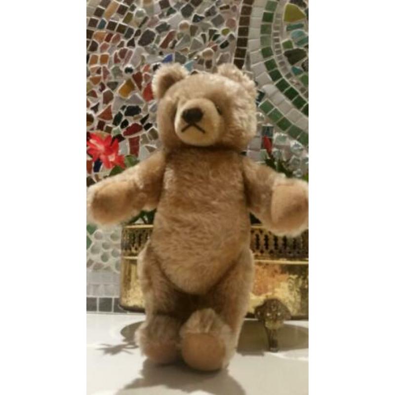31 cm Maskenbär