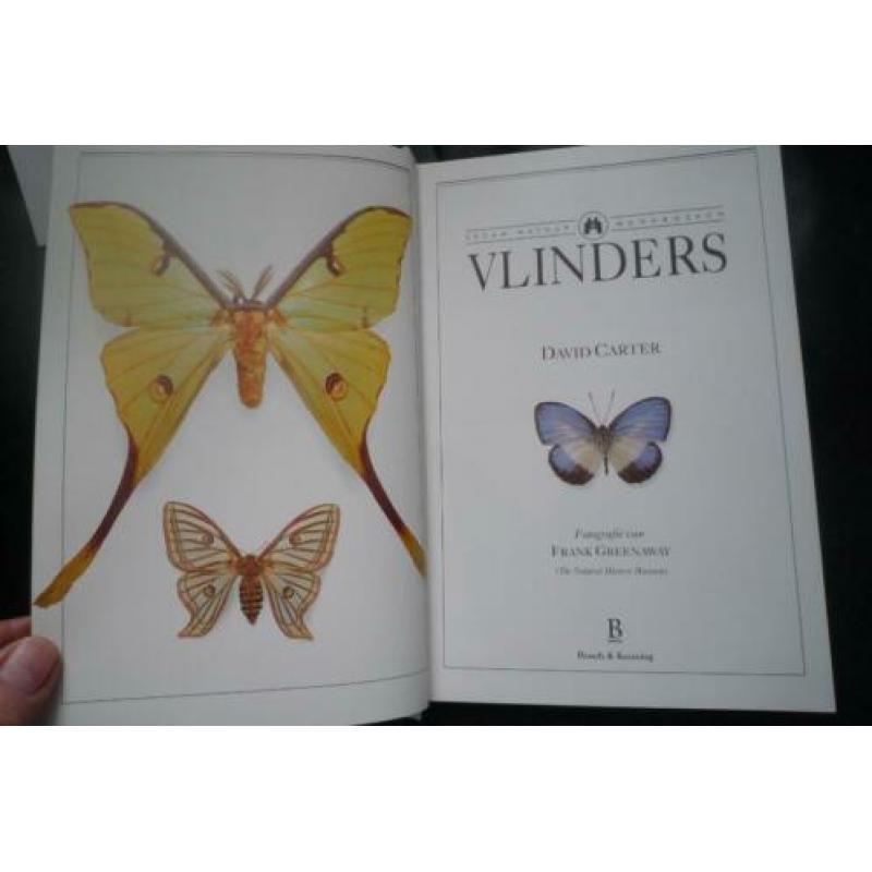 Vlinders