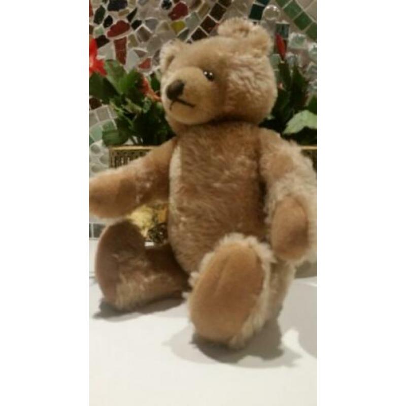 31 cm Maskenbär