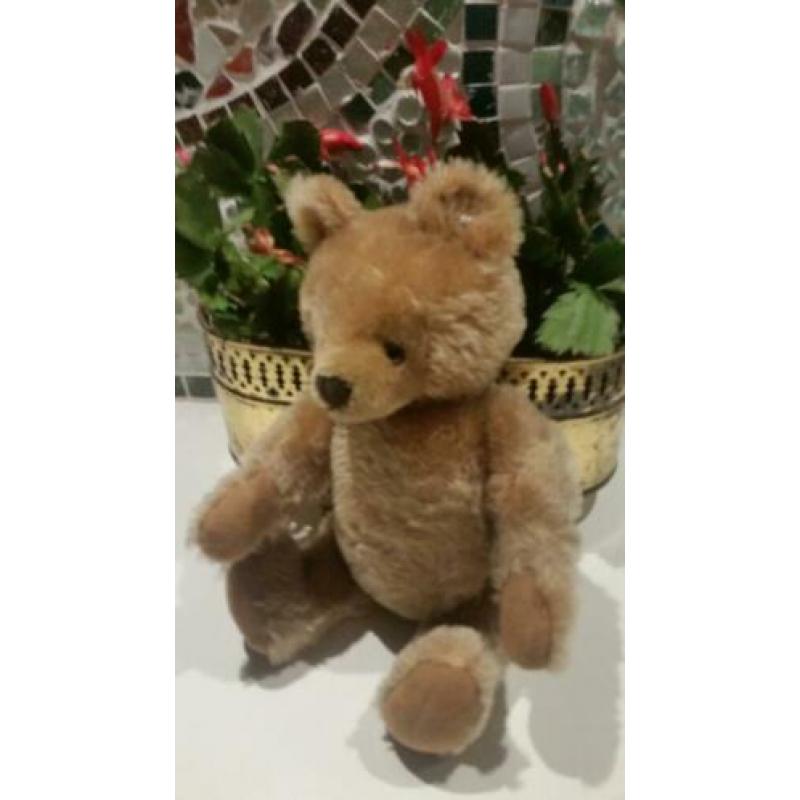 31 cm Maskenbär