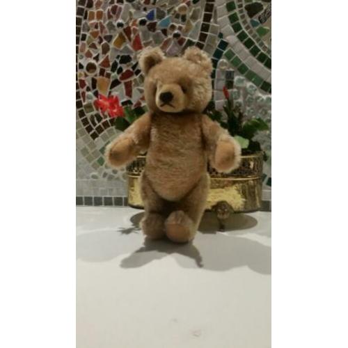 31 cm Maskenbär