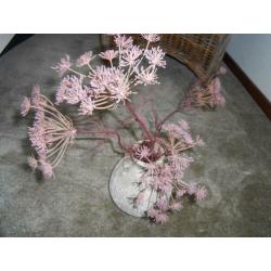 zijde bloemen / eucalyptus (espeterhoeve/you like it wonen)