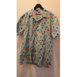 Carnaval: Hawaïn en Kiel en vest L en XL