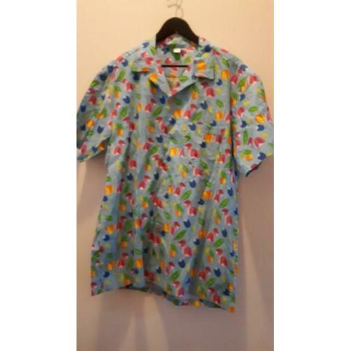 Carnaval: Hawaïn en Kiel en vest L en XL