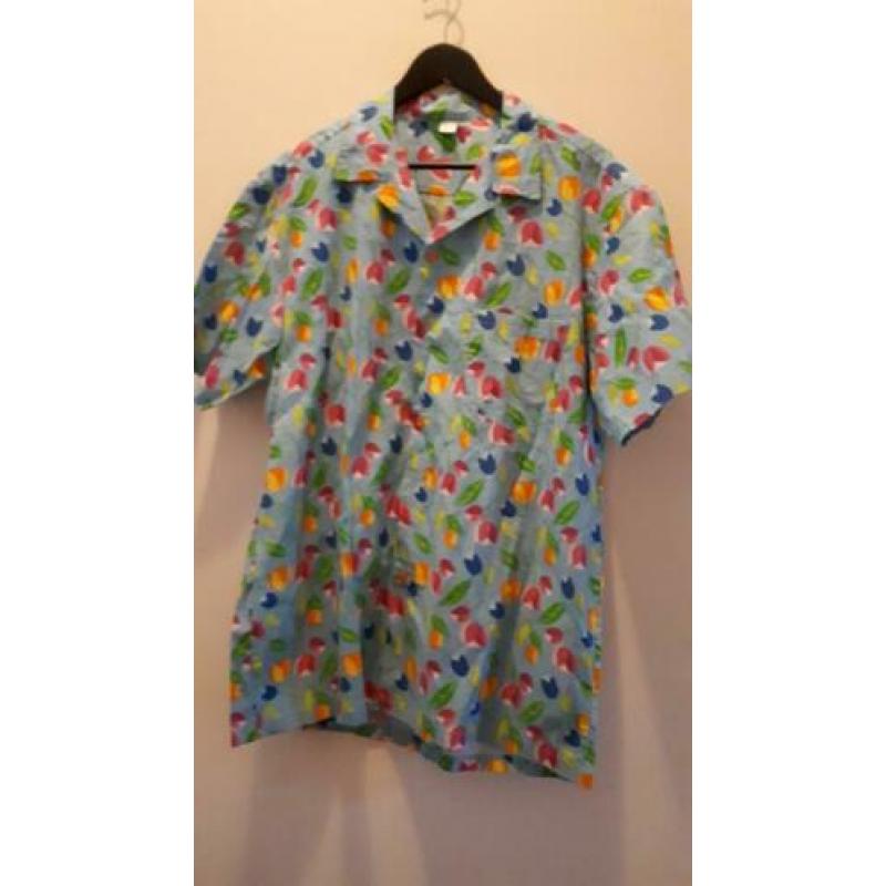 Carnaval: Hawaïn en Kiel en vest L en XL