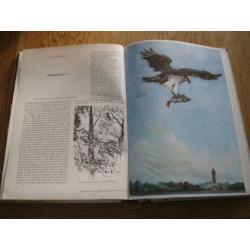 Plaatjes album