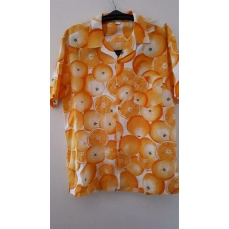 Carnaval: Hawaïn en Kiel en vest L en XL