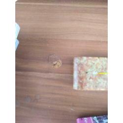 Tv meubel, tafel 2p, hoogslaper inc matras