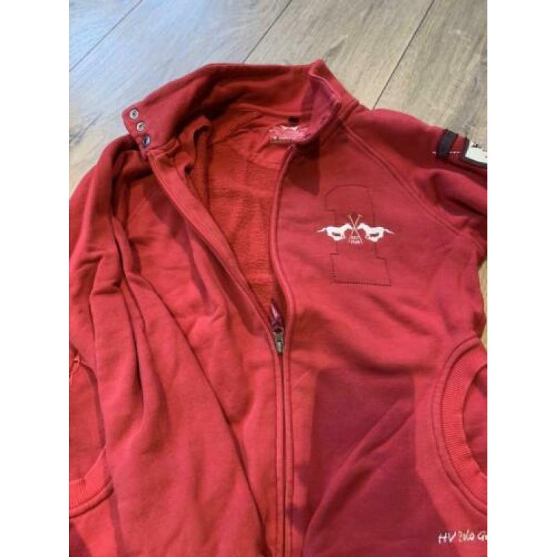 HV Pole Vest