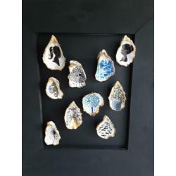Handbeschilderde oester 'boom blauw'