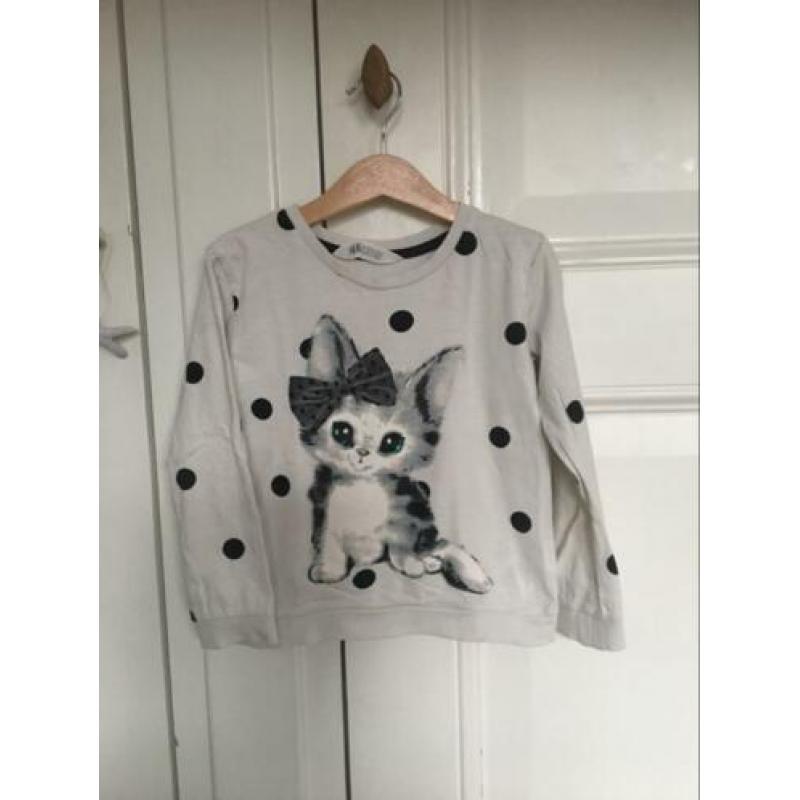 Leuke sweater, maat 110-116, meisje