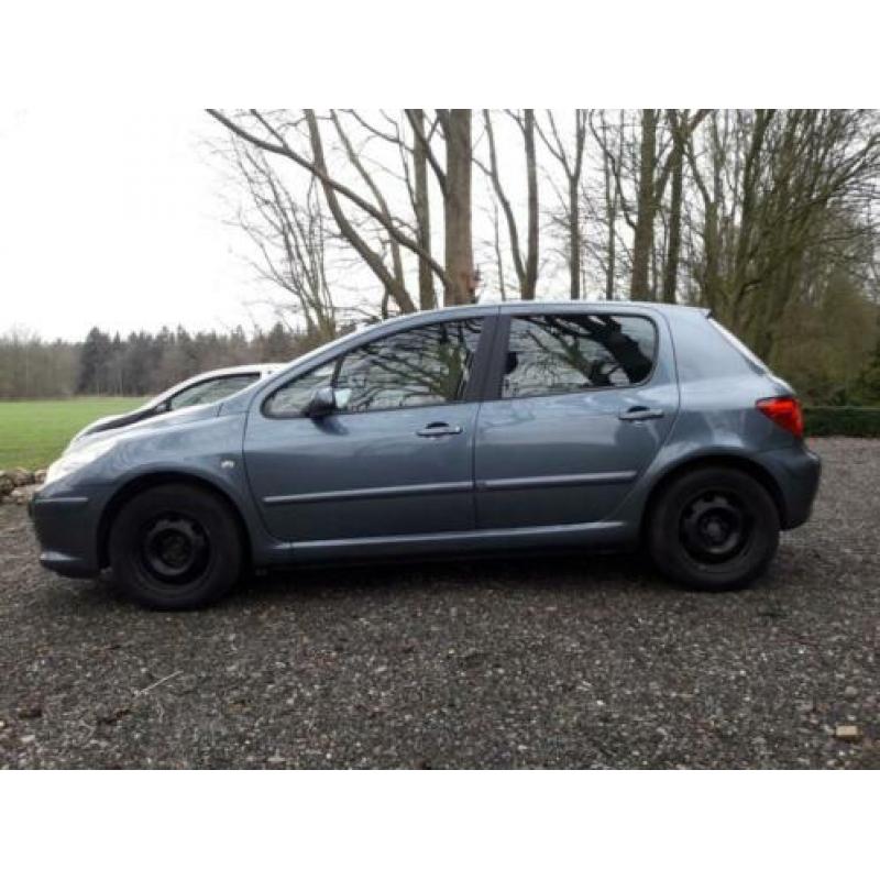 Peugeot 307 1.6 16V 5DR 2007 Grijs