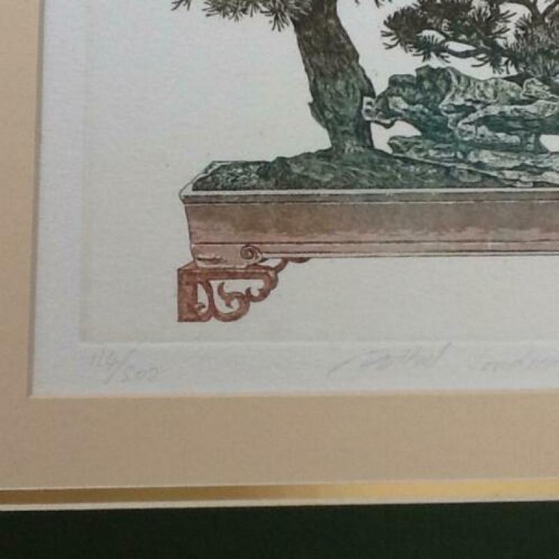Genummerde ets van Bonsai boompje!