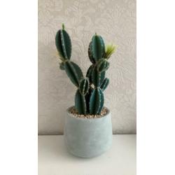 Grote (nep) cactus van Xenos, 42 cm, nieuw!