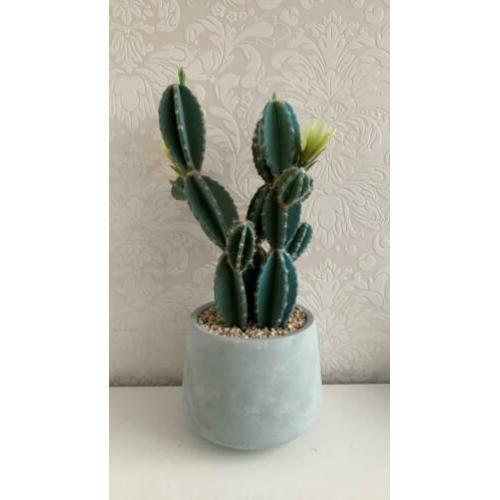 Grote (nep) cactus van Xenos, 42 cm, nieuw!