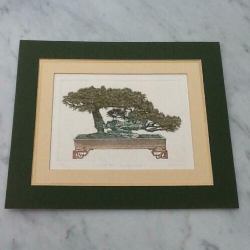 Genummerde ets van Bonsai boompje!