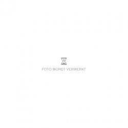 Fiat Panda 1.2 Edizione Cool