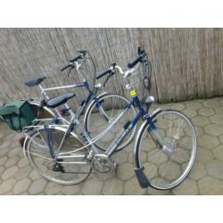 Setje Gazelle stadsfietsen te koop