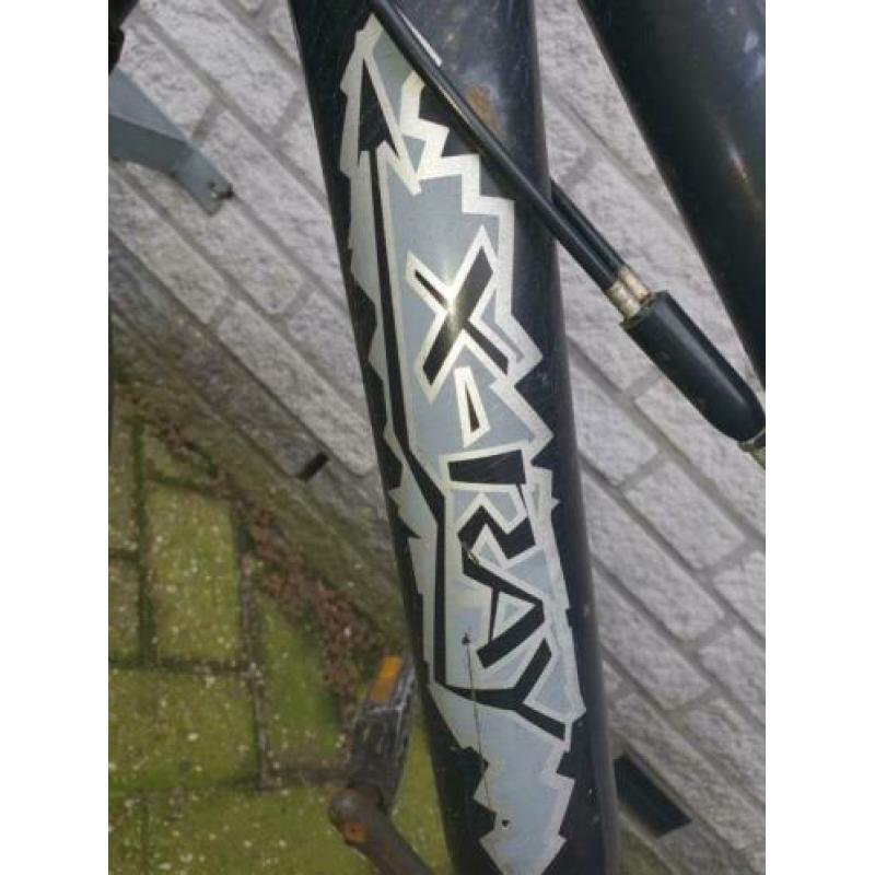 BMX (Xray)