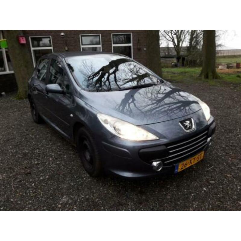 Peugeot 307 1.6 16V 5DR 2007 Grijs