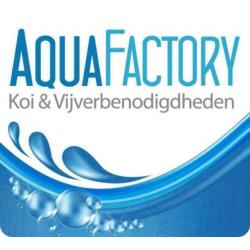Boeddha staand 1 meter hoog !!!!!!