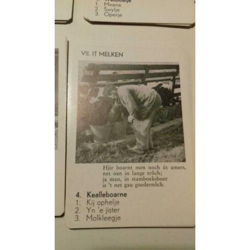 frijsk BOERENKWartetspul.