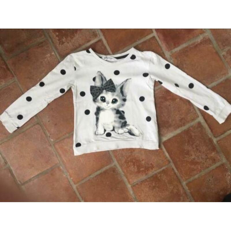Leuke sweater, maat 110-116, meisje