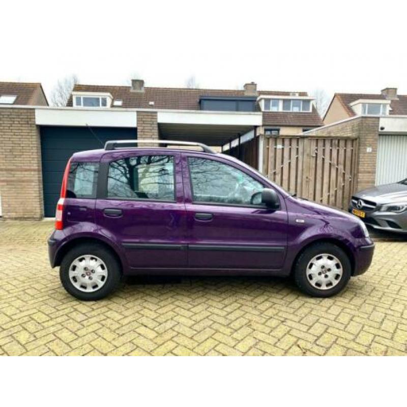 Fiat Panda 1.2 2011 Paars